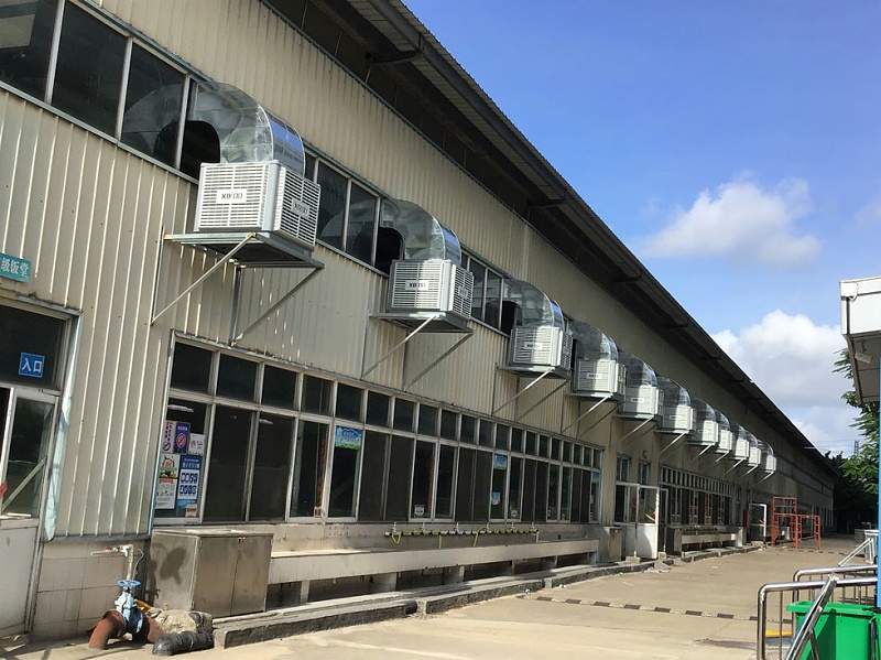 星科環(huán)保空調應用于學校飯?zhí)檬程猛L降溫